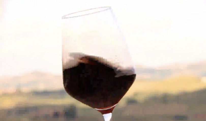 Langhe e Roero: con Piemontexperience alla scoperta delle eccellenze vitivinicole della Regione
